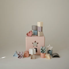 Shape Sorting Box