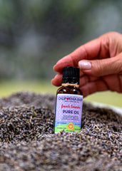 French Lavender™ Pure Oil