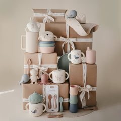 Deluxe Vanilla Confetti/Cambridge Blue Feeding Kit