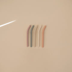 Silicone Replacement Straws - 5 Pack