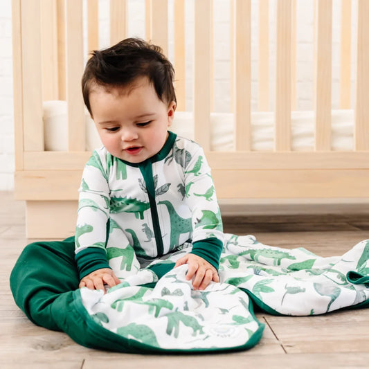 Dream Baby Blanket - Dreamy Dinos