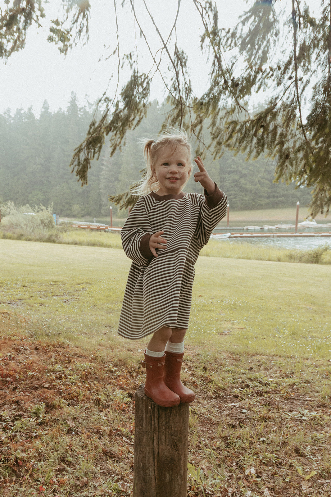 Kelsey Dress in Turtledove Chocolate Stripe