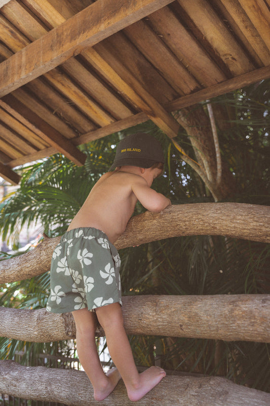 Big Island Cap - Olive
