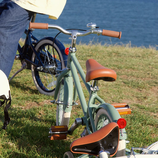 BANWOOD 16" CLASSIC BICYCLE VINTAGE - FOREST