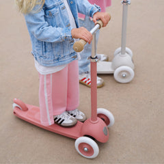 BANWOOD ECO SCOOTER - RASPBERRY